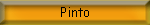 Pinto